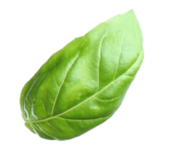 Alimentation Mon Quartier #1