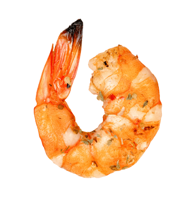 Alimentation Mon Quartier #4