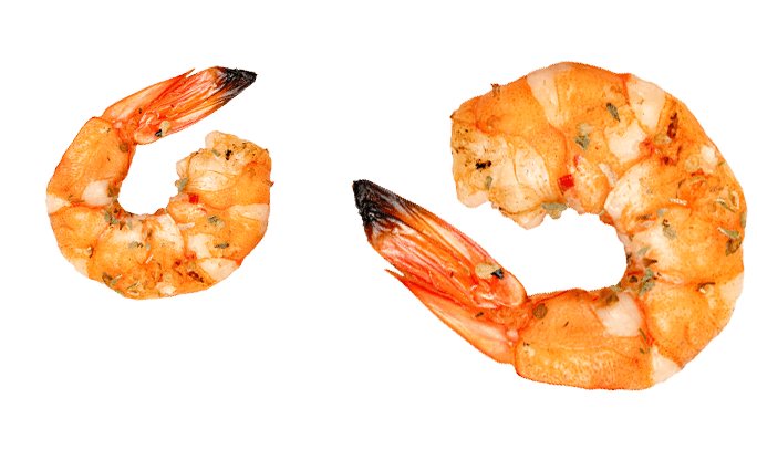 Alimentation Mon Quartier